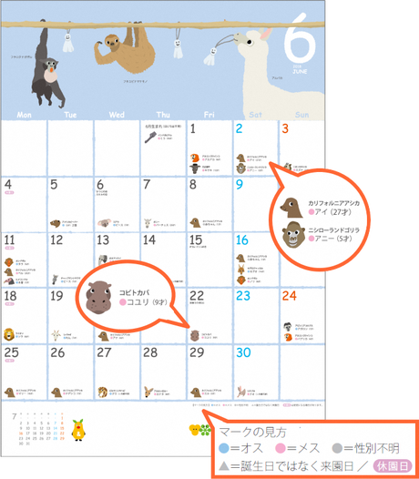 アニマーサリーカレンダー18のお知らせ オフィシャルブログ 東山動植物園