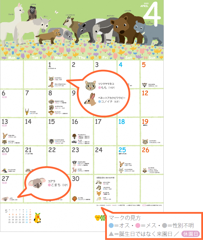 アニマーサリーカレンダー２０２０のお知らせ オフィシャルブログ 東山動植物園