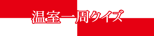 一周クイズ.png