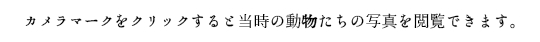 カメラマークをクリックすると当時の動物たちの写真を閲覧できます。