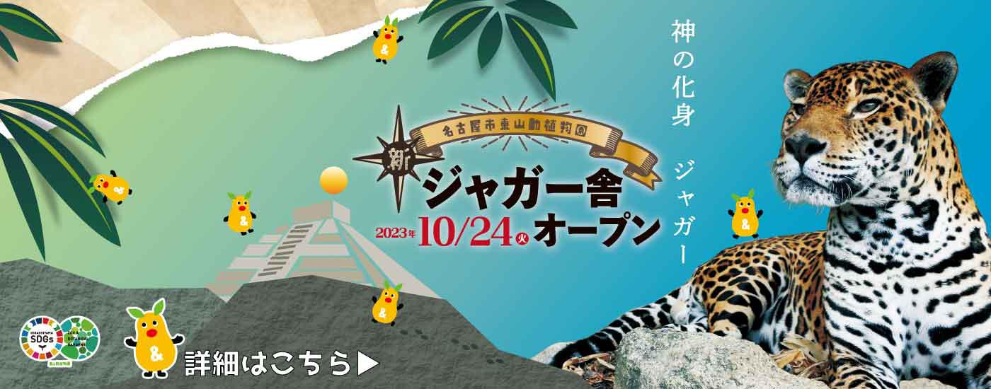 更新用（２０２２０２１５）