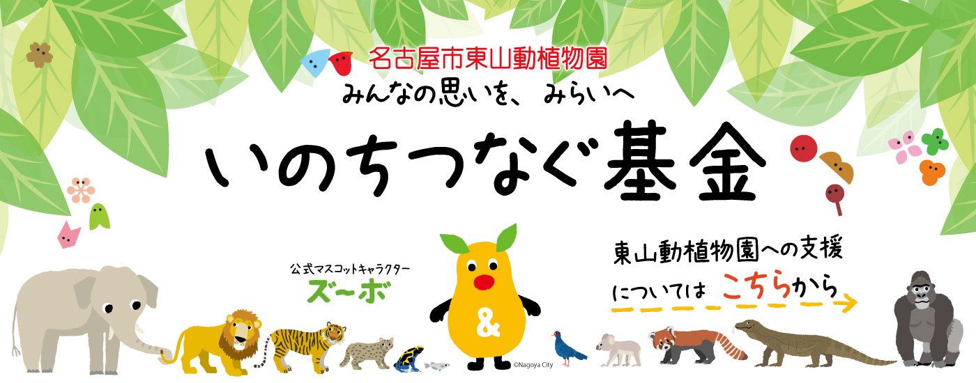 更新用（こちらを更新）