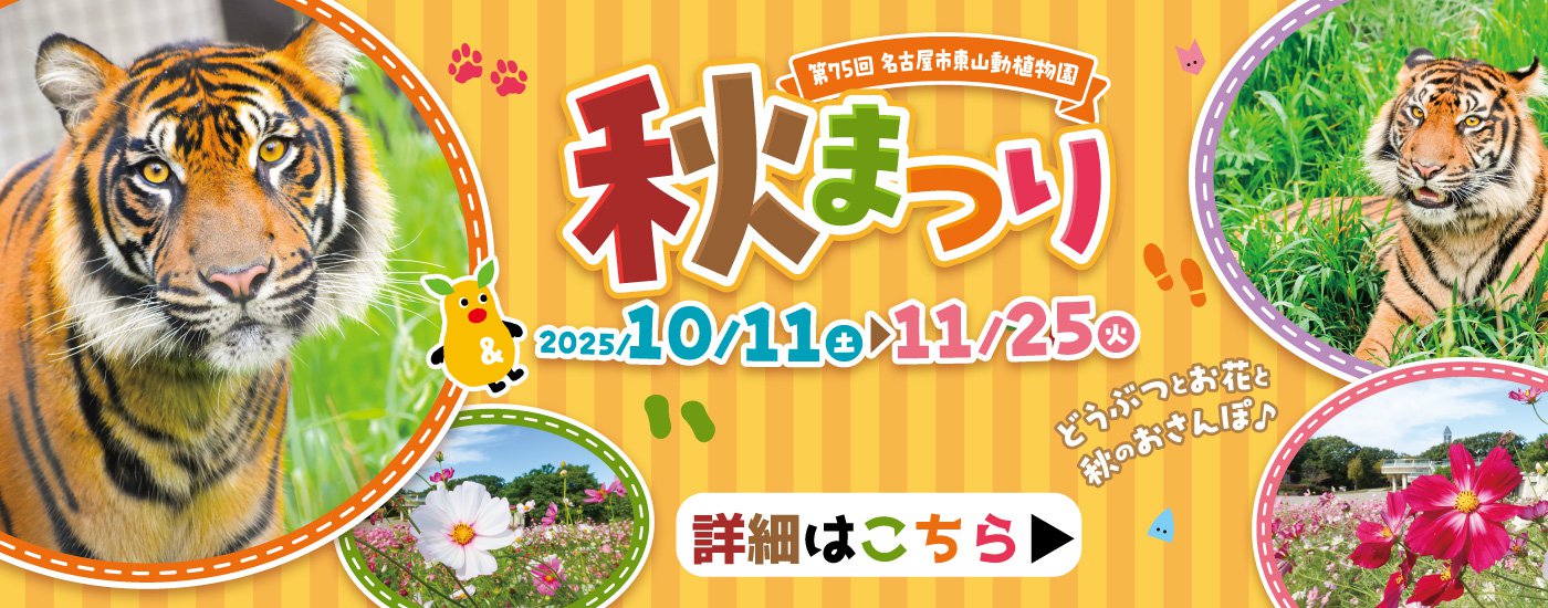 更新用（こちらを更新）
