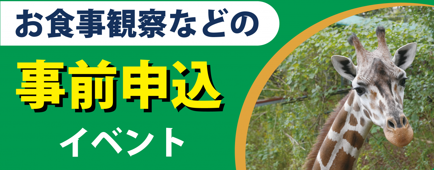 更新用（こちらを更新）