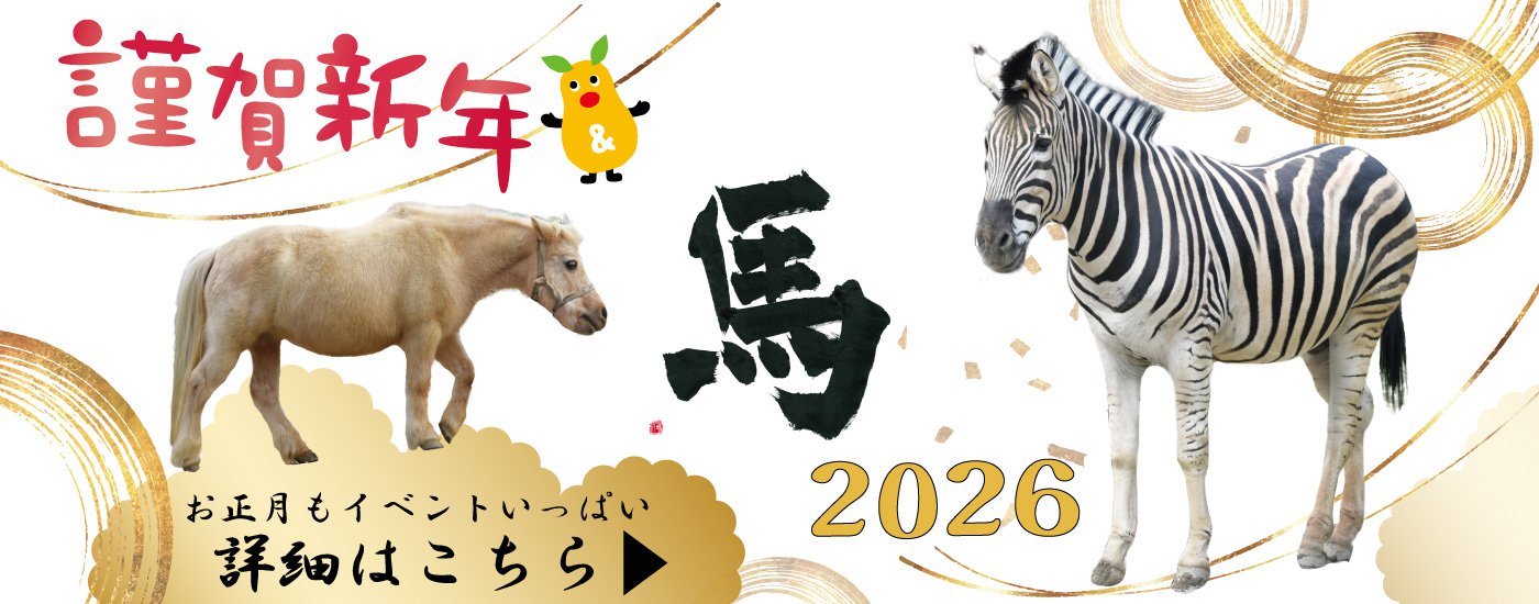 更新用（こちらを更新）