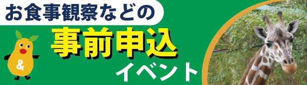 スライドバナー