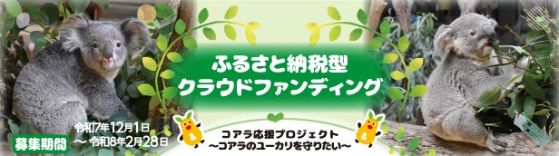 スライドバナー