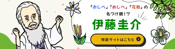 スライドバナー(3.31～)