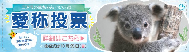 スライドバナー(3.31～)