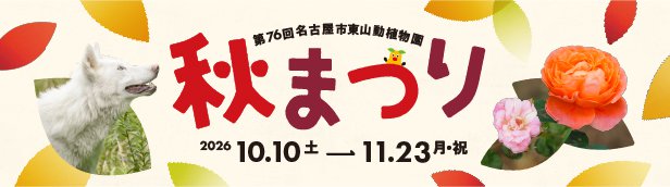 スライドバナー(3.31～)