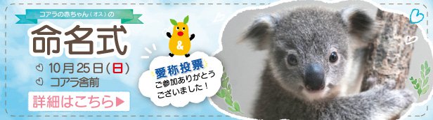 スライドバナー(3.31～)