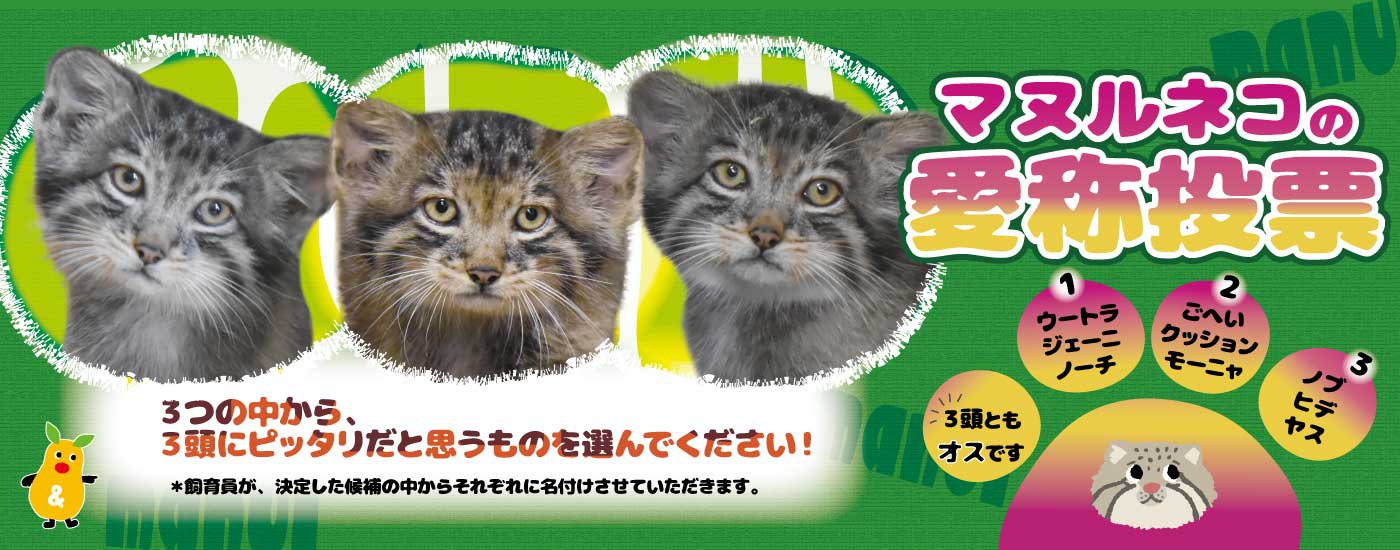 HPバナー.jpg