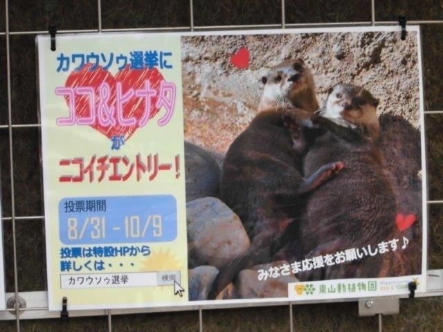 ブログ記事「氷のプレゼント」のサムネイル画像