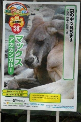 ブログ記事「残念なお知らせですが」のサムネイル画像