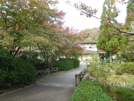 ブログ記事「２０１７年植物園紅葉情報その２」のサムネイル画像