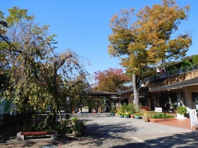 ブログ記事「2017年植物園紅葉情報その１」のサムネイル画像