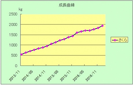 ブログ記事「アジアゾウのさくら順調に成長中!?」のサムネイル画像