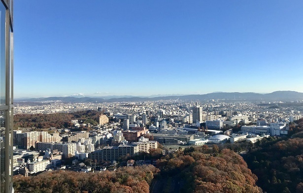 ブログ記事「スカイタワー展望室に冬の装飾」のサムネイル画像