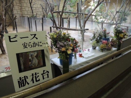 ブログ記事「たくさん、ありがとうございました。」のサムネイル画像