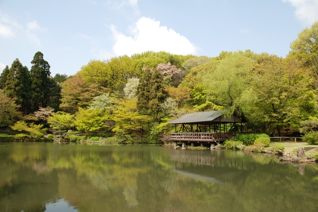ブログ記事「木々の芽吹き」のサムネイル画像