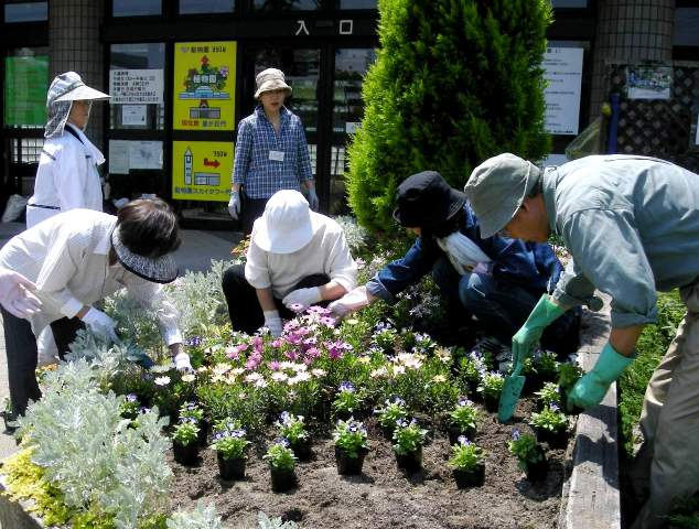 ブログ記事「夏の花壇をつくりました！」のサムネイル画像