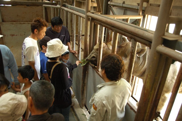 ブログ記事「春まつりレポート（４）　動物園裏側探検その２」のサムネイル画像