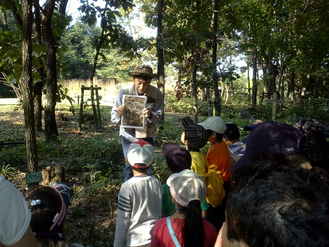 ブログ記事「〜もみじ狩りイベント情報〜　「東山の森探検隊」復活」のサムネイル画像