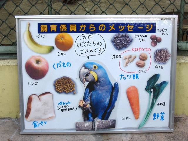ブログ記事「コンゴウインコの看板、増えました。」のサムネイル画像