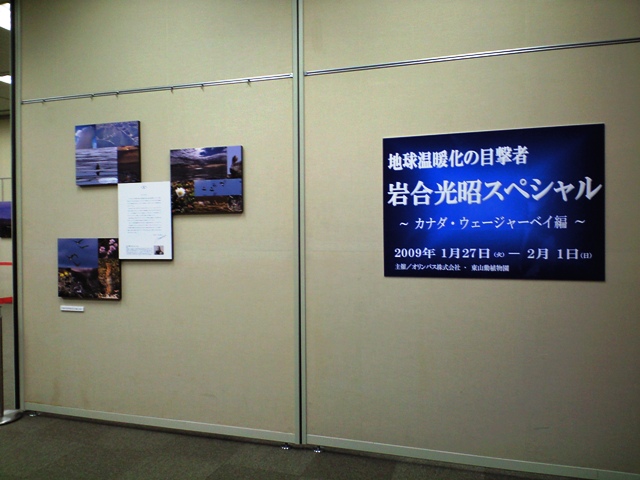 ブログ記事「岩合光昭氏写真展、明日からです。」のサムネイル画像