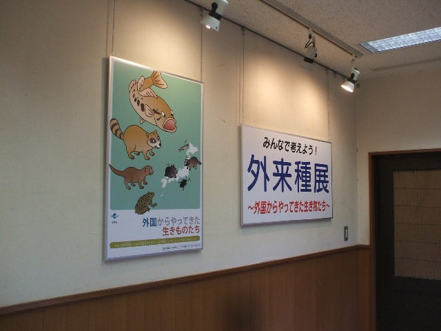 ブログ記事「外来種特別展　好評展示中！」のサムネイル画像