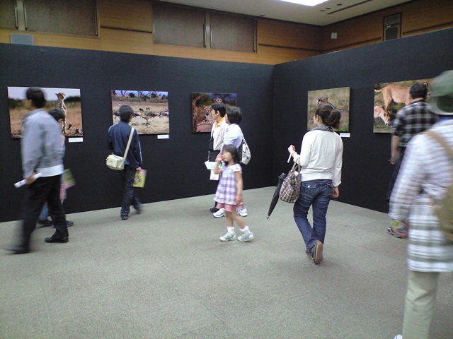 ブログ記事「春まつりレポート（５）　〜岩合光昭氏写真展、あと3日です〜」のサムネイル画像