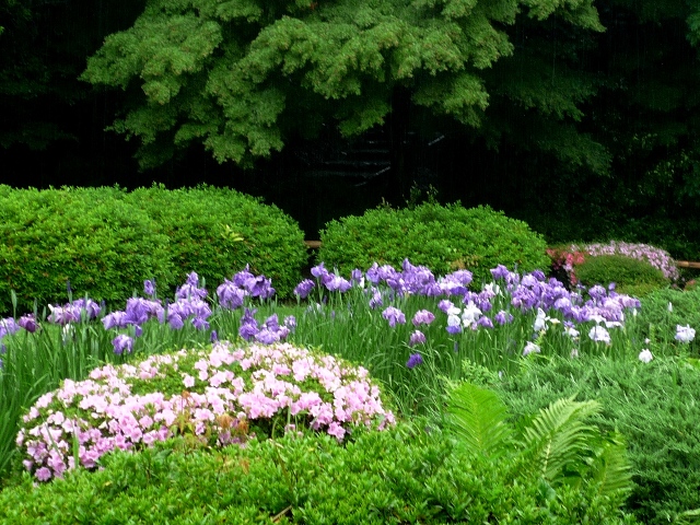 ブログ記事「期間限定で也有園の芝生広場を開放します！」のサムネイル画像