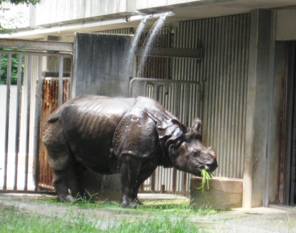 ブログ記事「夏の暑い日」のサムネイル画像