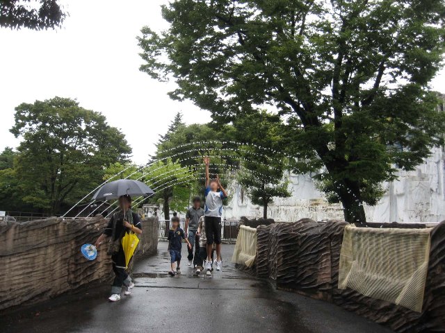 ブログ記事「水のトンネル」のサムネイル画像