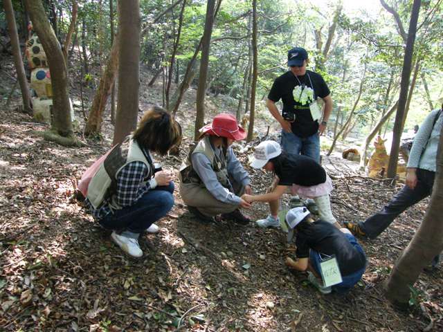 ブログ記事「秋まつりイベント情報　「東山の森探検隊」」のサムネイル画像