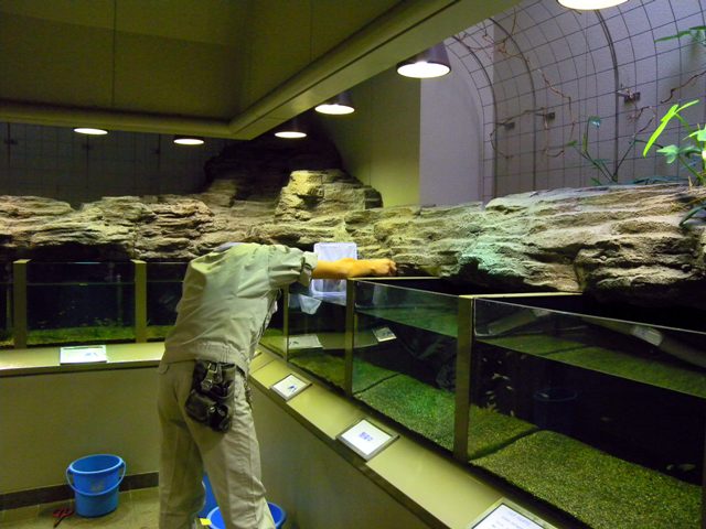 ブログ記事「メダカ館改修工事が始まりました」のサムネイル画像