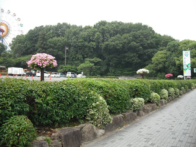 ブログ記事「北園門付近で花の手入れ活動に参加してみませんか！！」のサムネイル画像