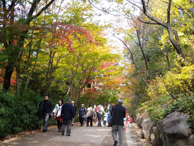 ブログ記事「紅葉が見頃です（第２弾）〜也有園のモミジ」のサムネイル画像