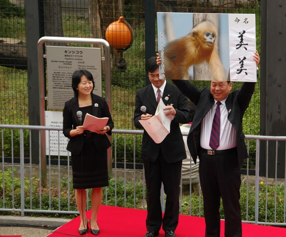 ブログ記事「命名「美美」（めいめい「メイメイ」）」のサムネイル画像