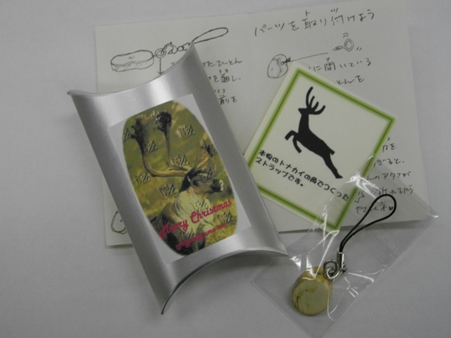 ブログ記事「動物園のクリスマスイベント」のサムネイル画像