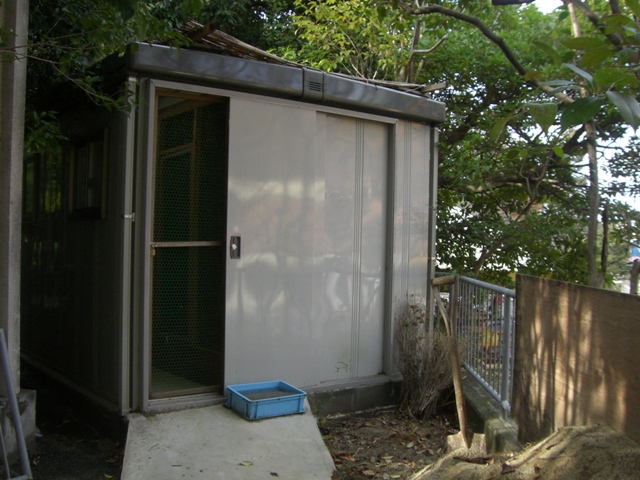 ブログ記事「謎の小屋」のサムネイル画像