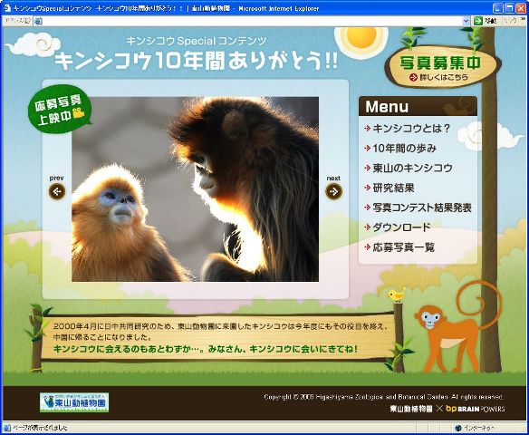 ブログ記事「キンシコウの写真募集（第2弾）スタート！」のサムネイル画像