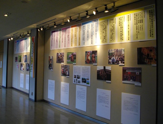ブログ記事「金絲猴日中共同研究展　「キンシコウ１０年間の歩み」の開催」のサムネイル画像