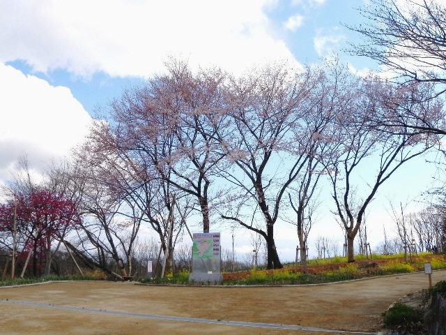 ブログ記事「桜の回廊だより2010 （2）」のサムネイル画像