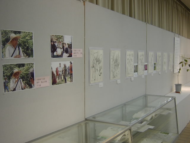 ブログ記事「企画展『井波一雄植物画展』のご紹介」のサムネイル画像