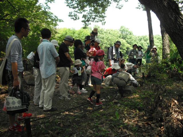 ブログ記事「「国際生物多様性の日」記念イベント」のサムネイル画像