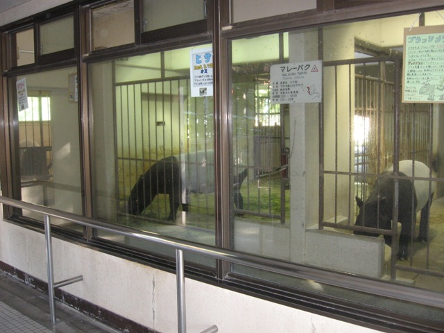 ブログ記事「バクの部屋がえ」のサムネイル画像