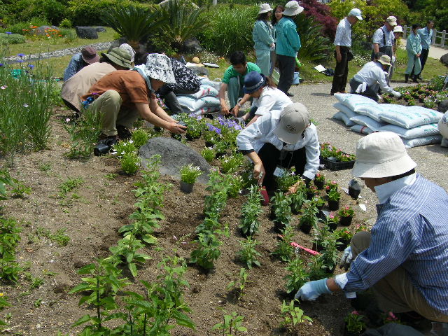 ブログ記事「お花畑にみんなで花を植えました！」のサムネイル画像