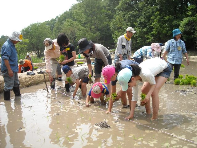 ブログ記事「平和公園「くらしの森」で田植えをしました」のサムネイル画像