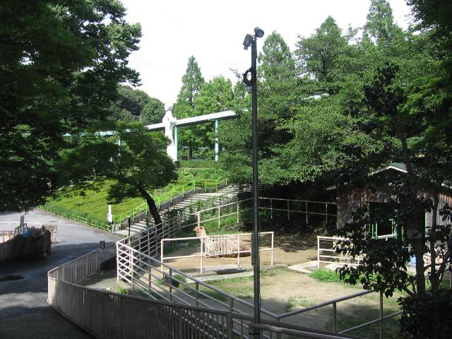 ブログ記事「ナイトZOO＆GARDEN準備中・・！」のサムネイル画像